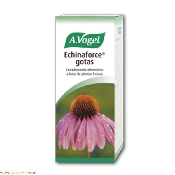 ECHINAFORCE 100ML (VOGEL)