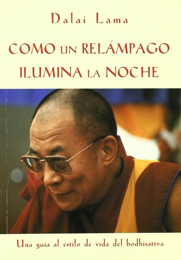 COMO UN RELAMPAGO ILUMINA LA NOCHE